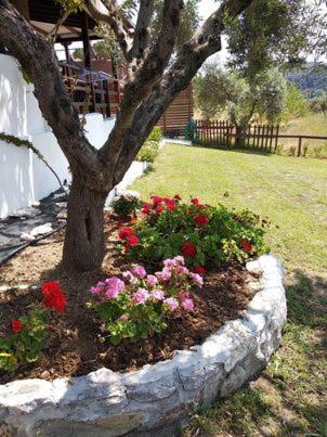 Ases Villa Lagonisi Halkidiki Ormos Panagias Esterno foto
